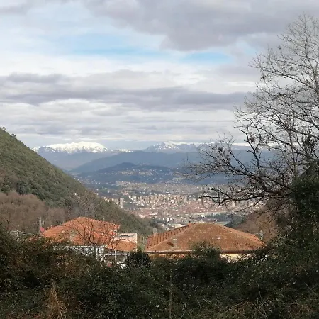 I Limoni Di Matteo